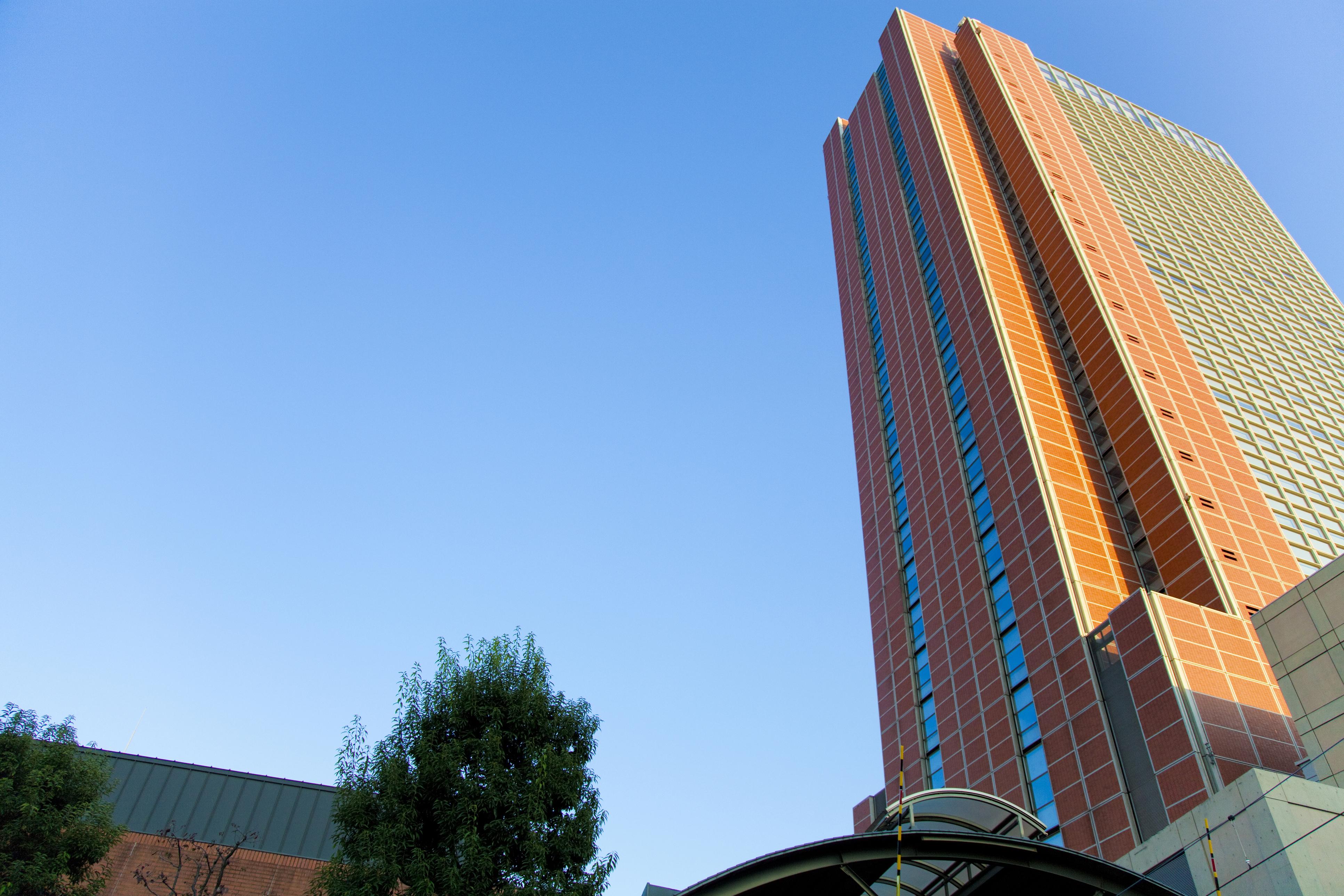 🥕 닌진 전망대(닌진텐보다이) 이미지 2